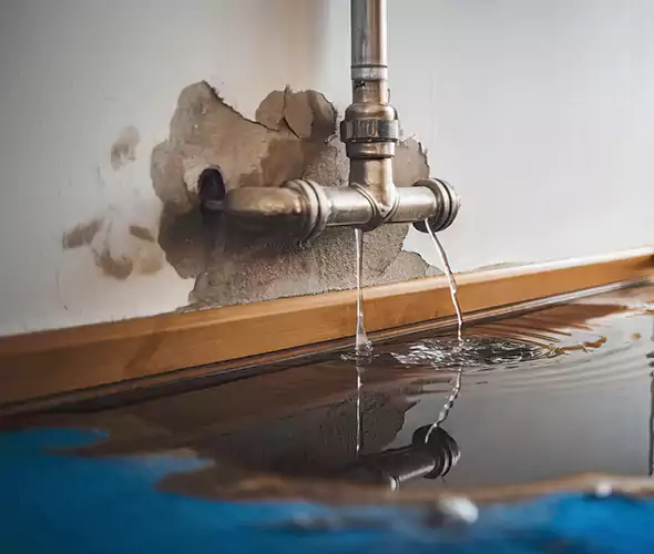 Professional Water Damage Restoration Experts in San Diego, CA — Fast, Reliable & Certified